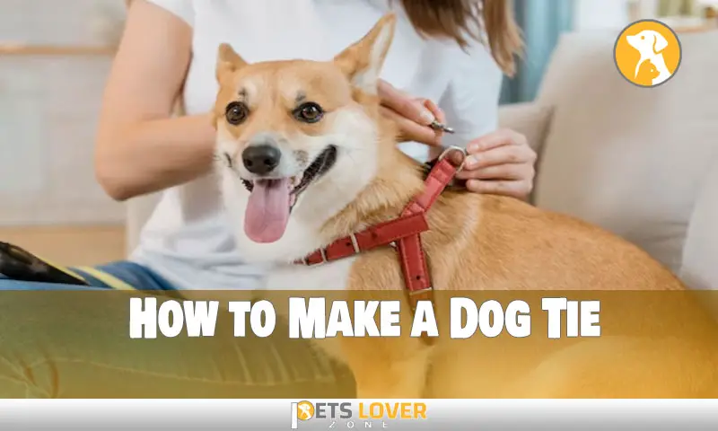 How to Make a Dog Tie