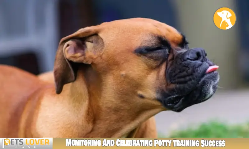 Monitoring And Celebrating Potty Training Success