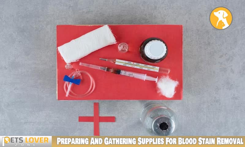 Preparing And Gathering Supplies For Blood Stain Removal