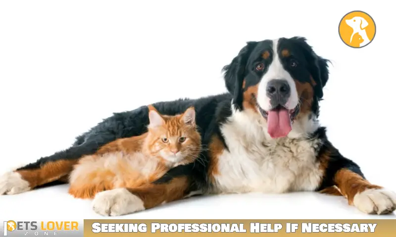 Seeking Professional Help If Necessary