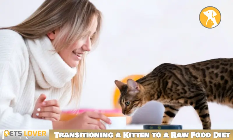 Transitioning a Kitten to a Raw Food Diet