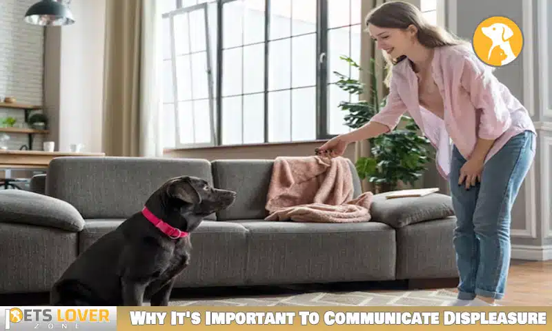 Why It's Important To Communicate Displeasure