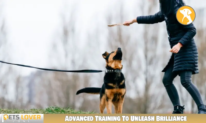 Advanced Training To Unleash Brilliance