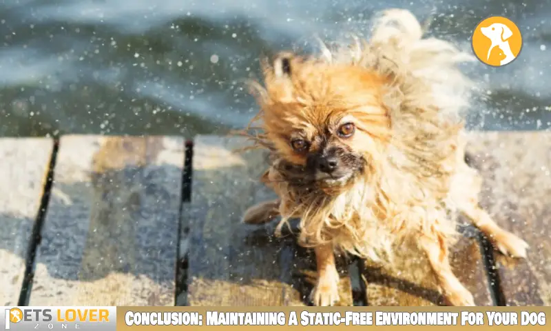 Conclusion: Maintaining A Static-Free Environment For Your Dog