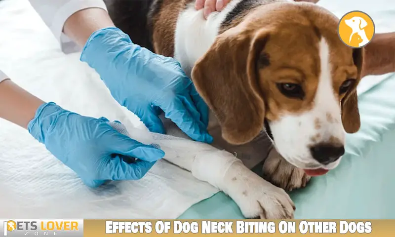 Effects Of Dog Neck Biting On Other Dogs