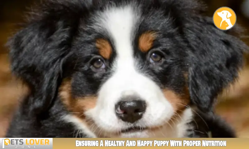 Ensuring A Healthy And Happy Puppy With Proper Nutrition