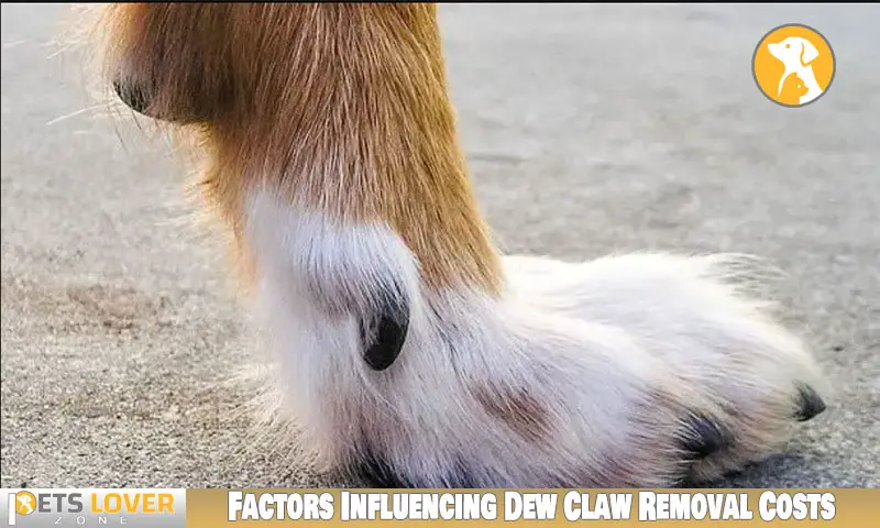Factors Influencing Dew Claw Removal Costs