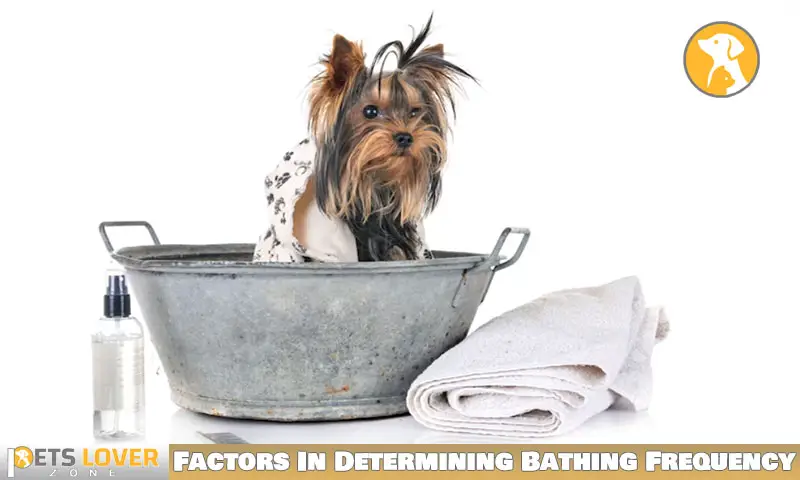 Factors To Consider In Determining Bathing Frequency