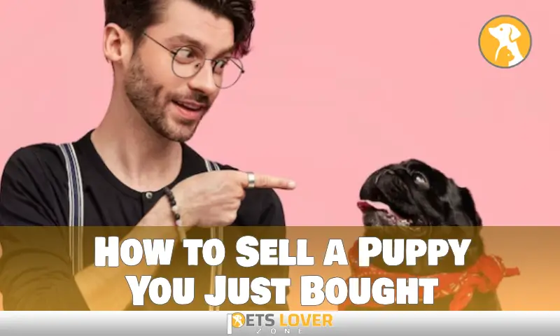 How to Sell a Puppy You Just Bought