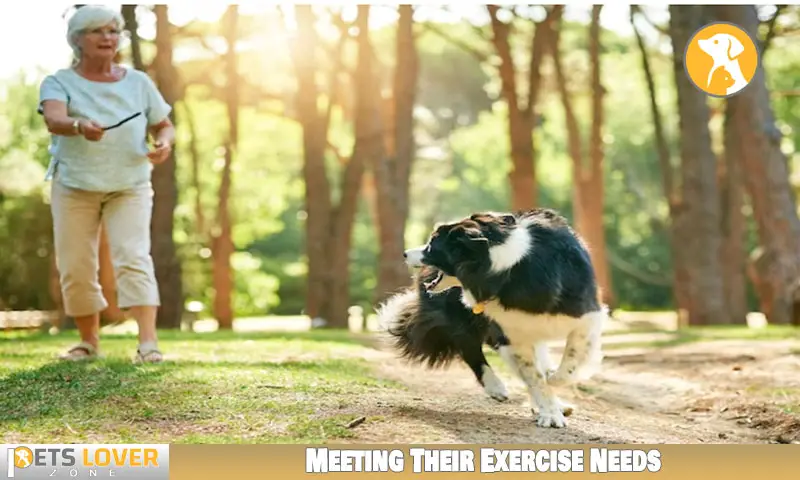 Meeting Their Exercise Needs