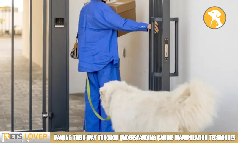 Pawing Their Way Through Understanding Canine Manipulation Techniques