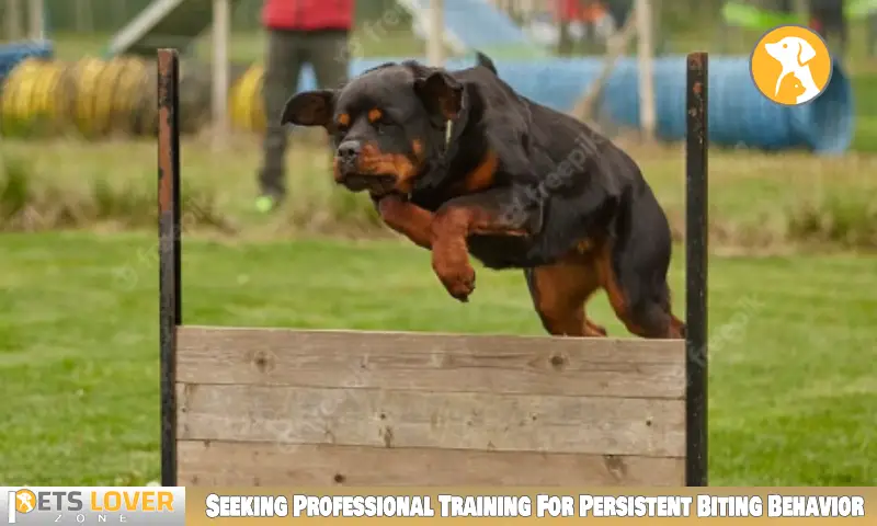 Seeking Professional Training For Persistent Biting Behavior