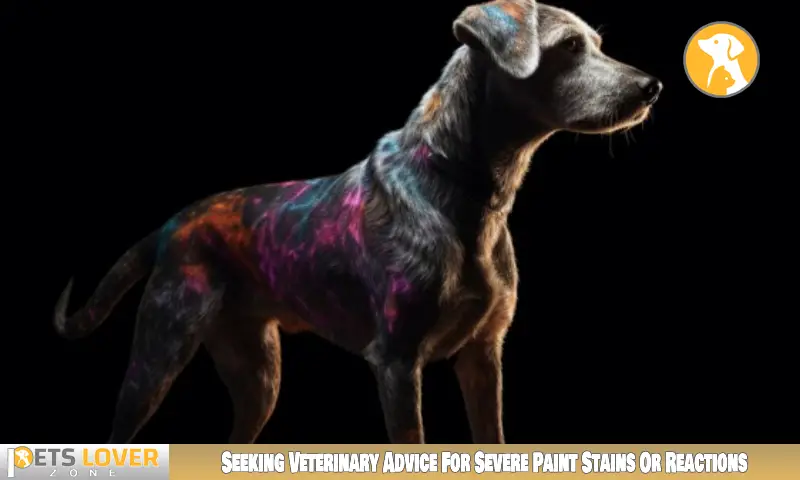 Seeking Veterinary Advice For Severe Paint Stains Or Reactions