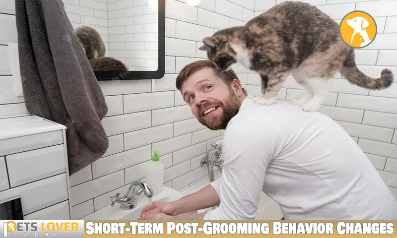 Short-Term Post-Grooming Behavior Changes