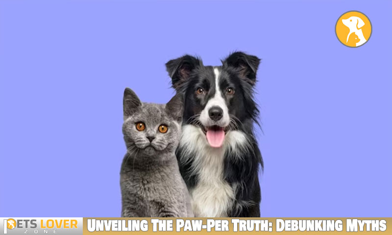 Unveiling The Paw-Per Truth: Debunking Myths